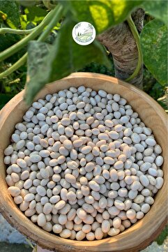 doğalından İspir Fasulyesi 1 KG