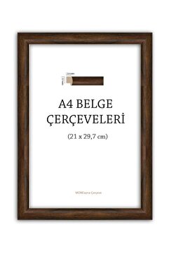 ASEL SANAT A4 ÇERÇEVE - CAM YOK PVC VAR - Diploma Çerçevesi - Belge Ruhsat Serfitika Çerçevesi - 21x30 Çerçeve