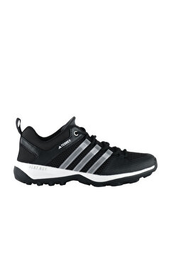 adidas Outdoor Ayakkabı Terrex Daroga Plus H.rdy Hp8634