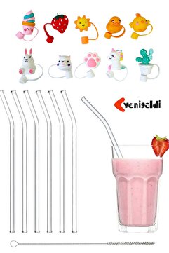 Yenigeldi 6'lı 9mm. 20cm Boyunda Cam Pipet, 1 Adet Pipet Temizleme Fırçası Ve 1 Adet Pipet Kapağı Seti
