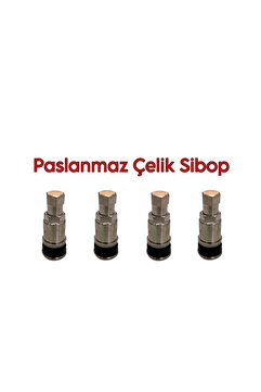 OEM Paslanmaz Çelik Sibop Takımı (4'LÜ SET)
