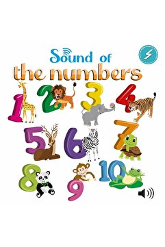 TURTLEKİDS Sound Of The Numbers