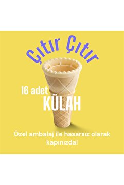 Banes Lale Tipi Dondurma Külahı 16'lı