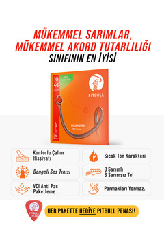 PİTBULL Pitbull Strings Gold Seri Elektro Gitar Takım Teli GEG 10-46 L Light Nikel Alaşım