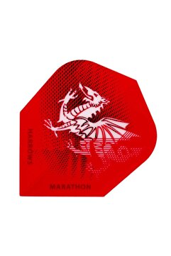Harrows Marathon - Wales Dragon Flights