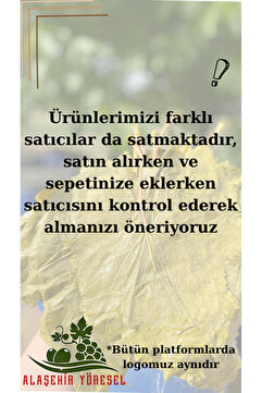 Alaşehir Yöresel 2026 Yeni Sezon Damarsız Ince Mayıs Asma Salamura Yaprak