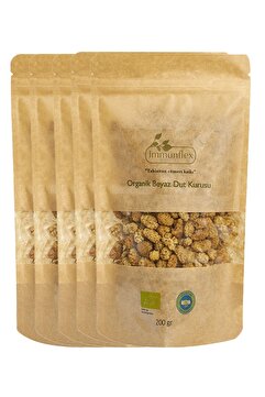 Immunflex Organik Kemaliye Dut Kurusu 200 Gr 5'li