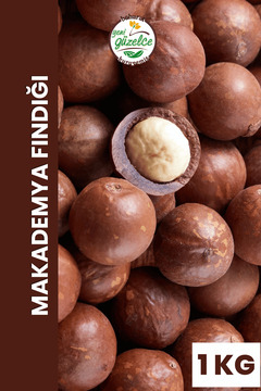 YENİ GÜZELCE Kabuklu Kavrulmuş Makademya Fındığı - 1 Kg.