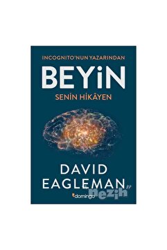 Domingo Yayınevi Beyin