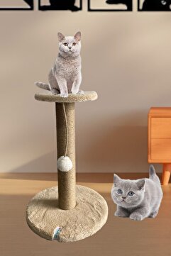 Nursoft Stepli Kedi Tırmalama Tahtası Bej
