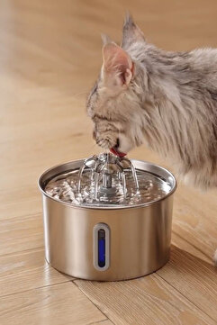 Aryuper Su Seviyesi Göstergeli 2.2 L Paslanmaz Çelik Kedi Köpek Için Su Pınarı Su Çeşmesi Su Sebili Bp02