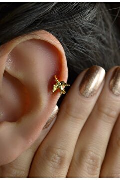Sacce Scarves&Accessories Rodyum Helix Piercing Kıkırdak Küpesi Kırlangıç