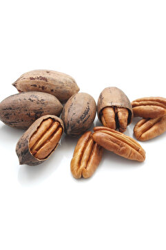 Genel Markalar Pikan Cevizi 1 Kg. ( Pecan Nut ) Kabuklu Pikan 1000 Gr.