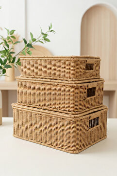 Digithome 3'lü Kapaklı Hasır Rattan Organizer Sepet - BB6065