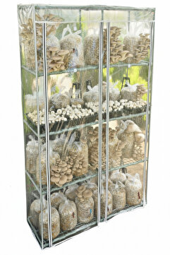 Tarımsal ve Hayvansal Ürünler İstiridye ve Kültür Mantarı Yetiştirme Serası + Hediye Üzüm Fidanı Tohumları