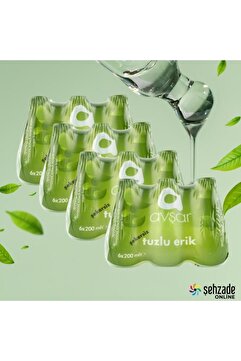 Avşar Tuzlu Erik Aromalı Maden Suyu 24 x 200 ml
