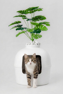 Dekorapet Dekoratif Kedi Tuvaleti/Evi