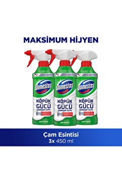 Domestos Köpük Gücü Köpük Çamaşır Suyu Çam Esintisi 450 ml x3