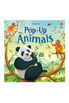 Usborne Pop-Up Animals Publishing