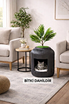 Kastasaksı 43x55cm plastik kedi evi tuvaleti modern dekoratif saksı