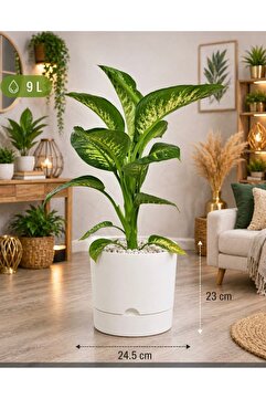 leogarden Begonya 9 Litre Beyaz Tabaklı Saksı (LEOFLOWERS ÜRÜNÜ)ağız Çapı 24.5 Cm Yükseklik 23 Cm