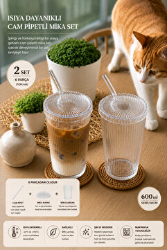 KÜÇÜK EW MİKA 2 Adet 600 Ml Mika Kapaklı Pipetli Origami Stil Mika Bardak | Sunum Bardağı Meşrubat Bardağı