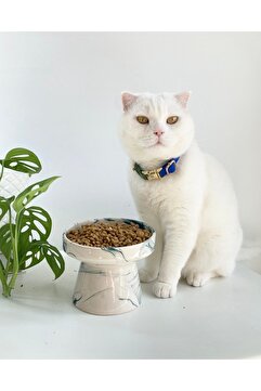 stilinbu Seramik Kedi Ve Köpek Mama Su Kabı (YEŞİL-BEYAZ-EBRU DESEN-M2)