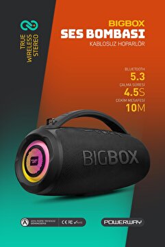 Powerway Bigbox 40W Güç Çift Bass Usb Hafıza Kartı Aux Led Işıklı Bluetooth Hoparlör Hi-Fi