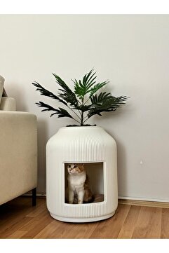 Kastasaksı 43x45 cm Beyaz dekoratif kedi evi tuvaletli modern sehpa