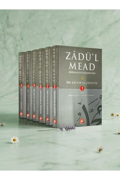 Pınar Yayıncılık Zadu'l Mead "resulullah'ın Yaşadığı Islam" (6 Cilt Takım)