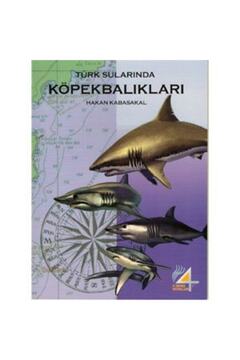 KRAKEN Kitap Türk Sularında Köpekbalıkları / Hakan Kabasakal