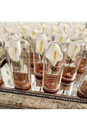 25 قطعة من هدايا الخطوبة/الوعد/الزفاف/الزفاف/الحناء - أنبوب مقلوب-قبة زجاجية صغيرة هدية خطوبة