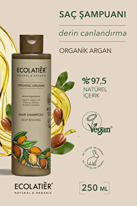 Saç Şampuanı Organik Argan Yağlı Güçlendirici Onarıcı Nemlendirici 250 ml