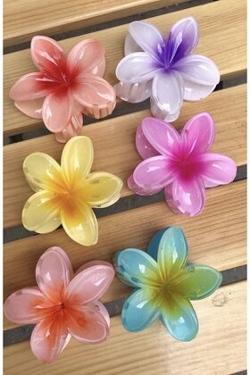 مجموعة أبازيم لوتس ملونة كبيرة الحجم للنساء، 6 قطع (8 سم)