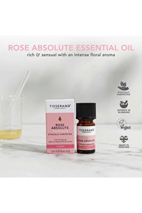 Tisserand Rose Absolute - Rose Essential Oil