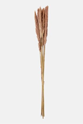 Artificial Decoration Feather 72 H cm, Assorted