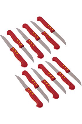 طقم سكاكين الفاكهة 12 قطعة