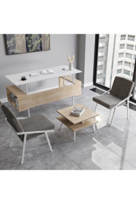 İrony Ofis Iki Adet Tekli Koltuk Ofis Takımı Beyaz