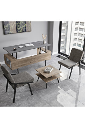 İrony Ofis Iki Adet Tekli Koltuk Ofis Takımı Antrasit