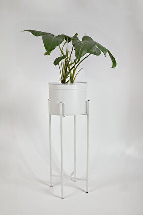 Tek Saksılı Çiçeklik D-3001 Beyaz