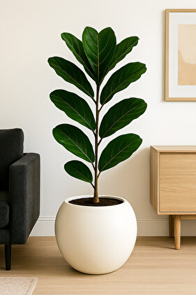 Küre Saksı 30 Cm Beyaz Saksı Plastik Saksı Çiçek Saksısı