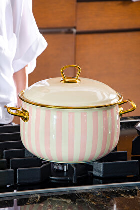 وعاء طهي عميق مطلي بالمينا من بلاش رويال 5.20 لتر |   24 سم