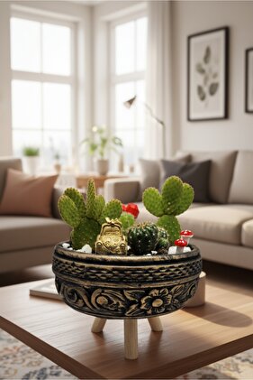 Ahşap ayaklı Sukulent ve kaktüs arajman saksısı