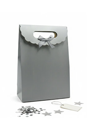 حقيبة صغيرة من الورق المقوى مقاس 19 × 27 سم على شكل ظرف ملون مع شريط فيلكرو قطعة واحدة (فضي)