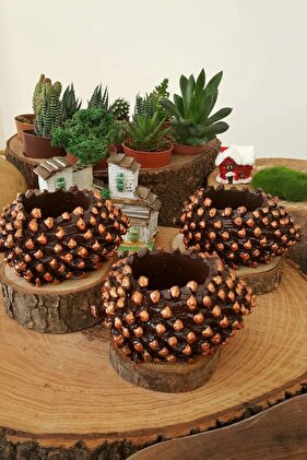 3d Kaktüs Ve Succulentler Için El Yapımı 3'lü Kozalak Tasarım Mini Saksı