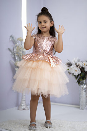 Salmon Girl's Tulle Evening Dress Party and Birthday Dress