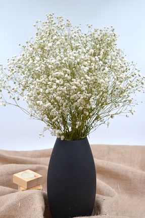 گل خشک و مصنوعی سفید Dekora Çiçek - کد 765421604