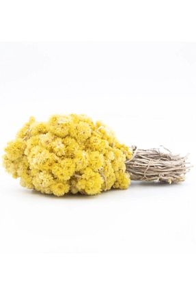 سایر چای های گیاهی SELNUS - کد 769336406