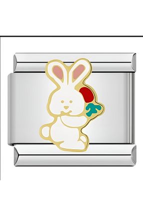 چارم طوسی مدرن RoseCo00 - کد 773372791