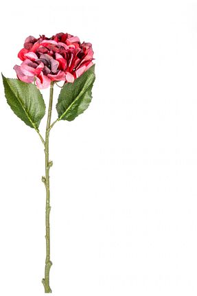 گل خشک و مصنوعی قرمز Herdekora - کد 773528877